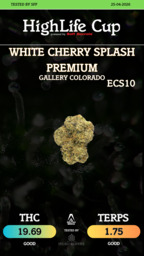 White Cherry Splash Premium
