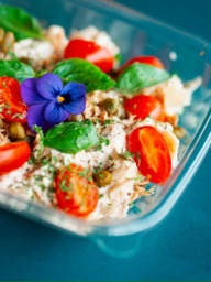 Pastasalade Tonijn