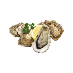 Zeeuwse jongens (oesterij speciale) Zeeuwse jongens (oesterij speciale)