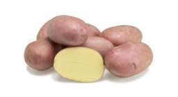 Aardappel Alouette Kruimig 1kg
