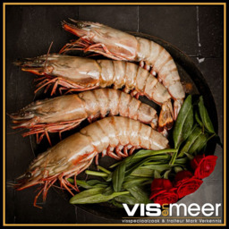 Gamba's 4/6 aanbieding (UP 10)