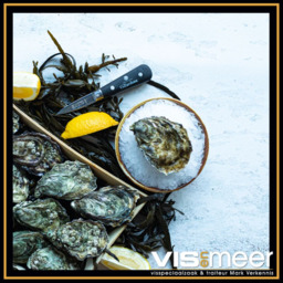 Ierse oesters per 6 verpakt