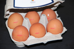 Eieren (doosje van 6 stuks)