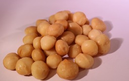 Macadamia noten ongezouten
