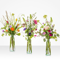 Pluk boeket verrassing van het seizoen