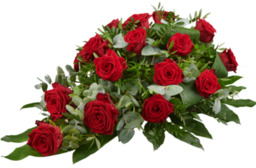 Stijlvol rood