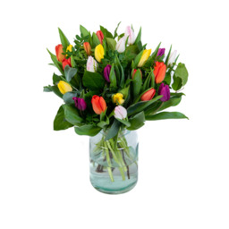 Tulpen in bonte kleuren