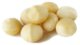 Macadamia Macadamia