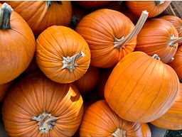 HALLOWEEN POMPOEN (dagprijs) 