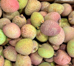 LITCHIE EXTRA (DAGPRIJS)