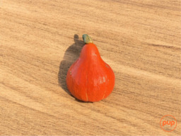 KLEINE POMPOEN (dagprijs) 
