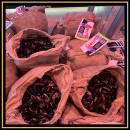 MOSSEL ACTIE PAKKET